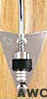 conga