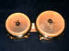 bongo-heads.JPG (189048 bytes)