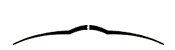 crash cymbal