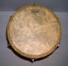 Remo_Djembe_Head_12_inch