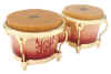 bongo - drum, latin percussion